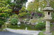 Japanese Tea Garden San Wall Decal