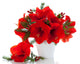 Christmas Arrangement Amaryllis Wall Decal