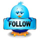 Blue Bird Sparrow Social Wall Decal