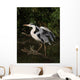 Grey Heron Ready for Wall Decal