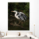 Grey Heron Ready for Wall Decal
