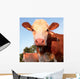 Portrait Brown and White Wall Decal
