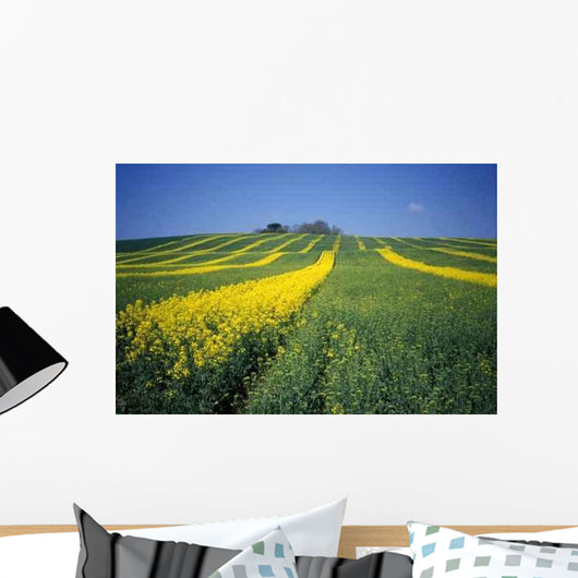Colza Wall Decal