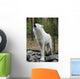 Healthy Wild Wolf Howling Wall Decal