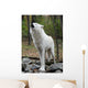 Healthy Wild Wolf Howling Wall Decal