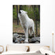 Healthy Wild Wolf Howling Wall Decal