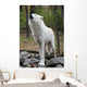 Healthy Wild Wolf Howling Wall Decal