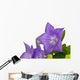 Turkey Bellflower Wall Decal