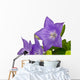 Turkey Bellflower Wall Decal