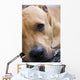 American Staffordshire Terrier Wall Decal