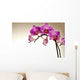 Storczyk Z Piknymi Kwiatami Wall Decal