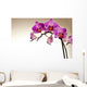 Storczyk Z Piknymi Kwiatami Wall Decal