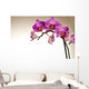 Storczyk Z Piknymi Kwiatami Wall Decal