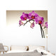 Storczyk Z Piknymi Kwiatami Wall Decal