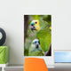 Colorful Parrot Dense Vegetation Wall Decal