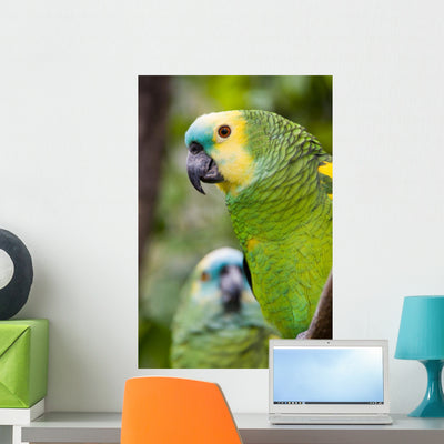 Colorful Parrot Dense Vegetation Wall Decal shown on a wall