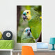 Colorful Parrot Dense Vegetation Wall Decal
