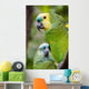 Colorful Parrot Dense Vegetation Wall Decal