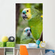 Colorful Parrot Dense Vegetation Wall Decal