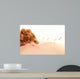 Acupuncture Back Shu Points Wall Decal