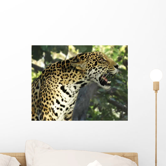 Jaguar Tree Wall Decal