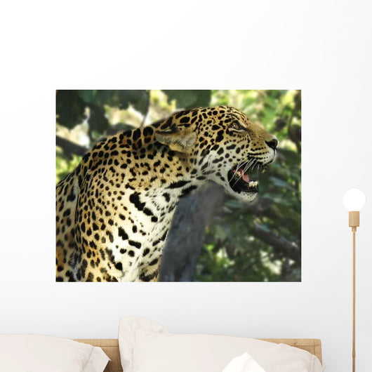 Jaguar Tree Wall Decal