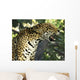 Jaguar Tree Wall Decal