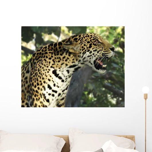 Jaguar Tree Wall Decal