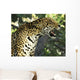 Jaguar Tree Wall Decal