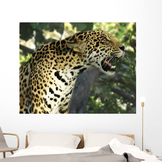Jaguar Tree Wall Decal