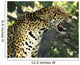 Jaguar Tree Wall Decal
