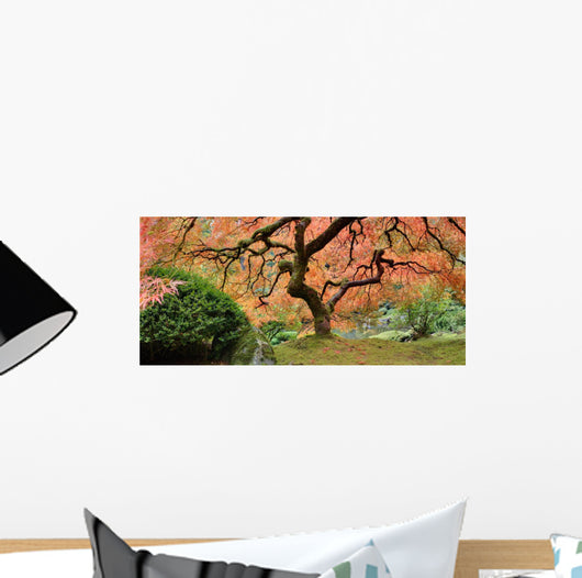 Old Japanese Maple Tree (Wide Shot) Wall Decal