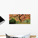 Old Japanese Maple Tree (Wide Shot) Wall Decal