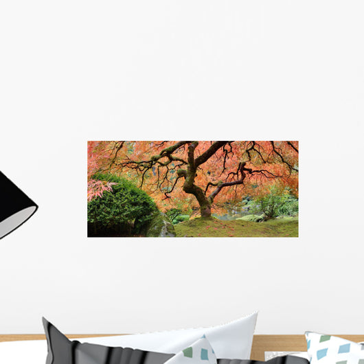Old Japanese Maple Tree (Wide Shot) Wall Decal