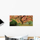 Old Japanese Maple Tree (Wide Shot) Wall Decal