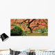 Old Japanese Maple Tree (Wide Shot) Wall Decal