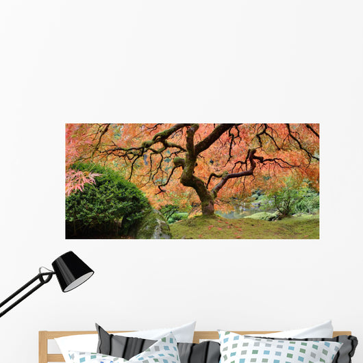 Old Japanese Maple Tree (Wide Shot) Wall Decal