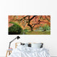 Old Japanese Maple Tree (Wide Shot) Wall Decal