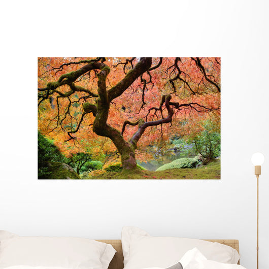 Old Japanese Maple Tree Wall Decal