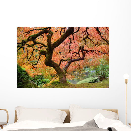 Old Japanese Maple Tree Wall Decal