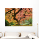 Old Japanese Maple Tree Wall Decal