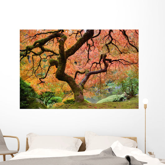 Old Japanese Maple Tree Wall Decal