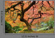 Old Japanese Maple Tree Wall Decal