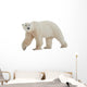 Polar Bear Wall Decal