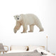 Polar Bear Wall Decal