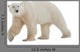 Polar Bear Wall Decal
