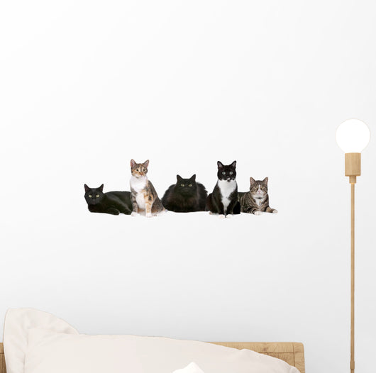 Group Cats Wall Decal