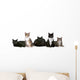 Group Cats Wall Decal