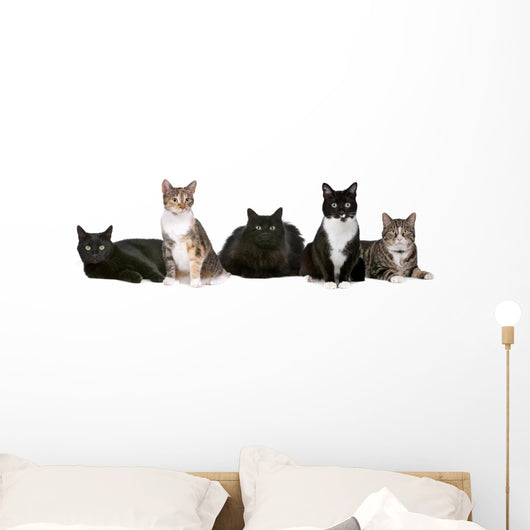 Group Cats Wall Decal