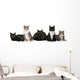 Group Cats Wall Decal